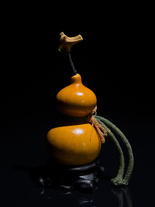 H005 natural gourd, alternate view