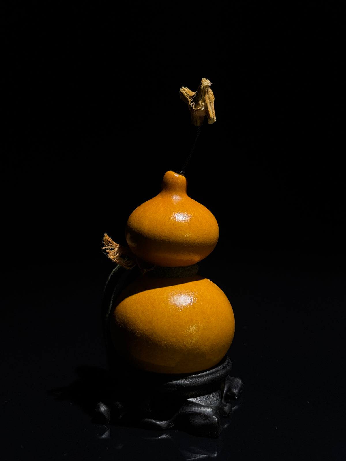 H005 natural gourd, detail view