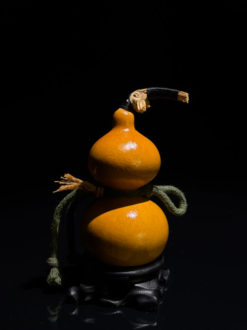H006 natural gourd, primary view
