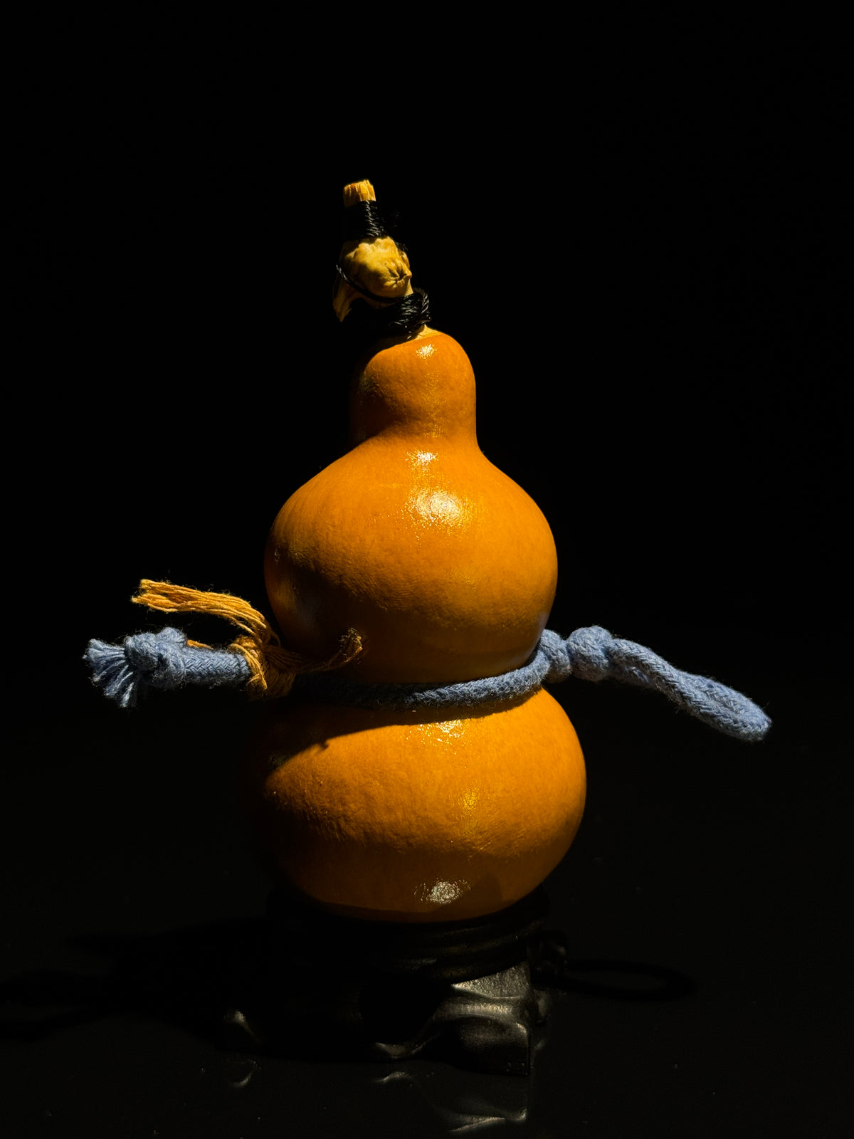 H010 natural gourd, alternate view