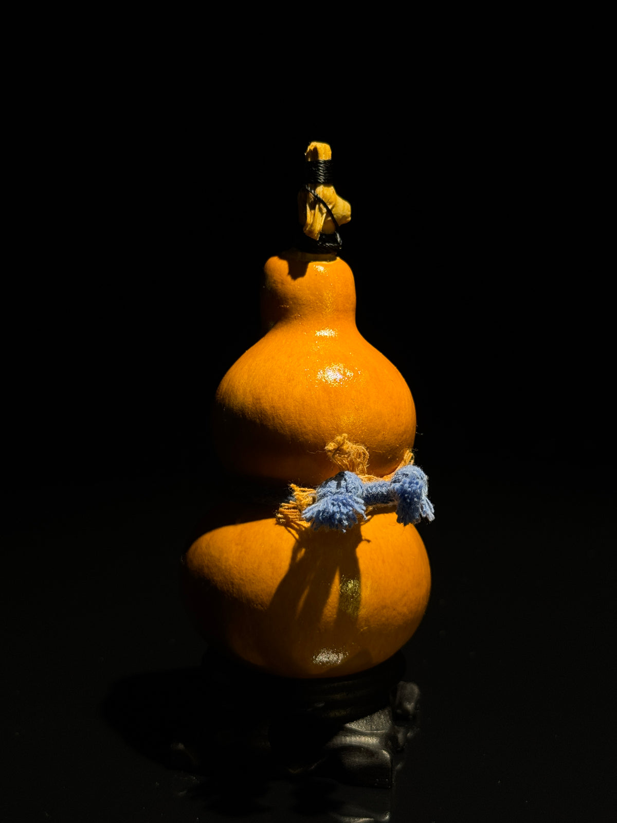 H010 natural gourd, detail view