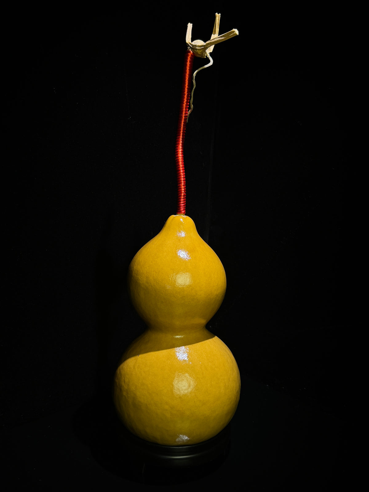 H012 natural gourd, primary view