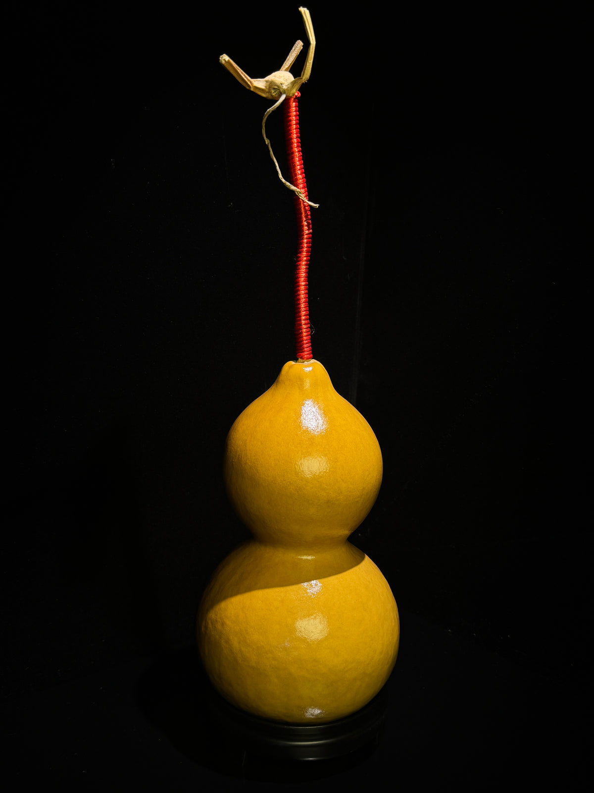 H012 natural gourd, alternate view