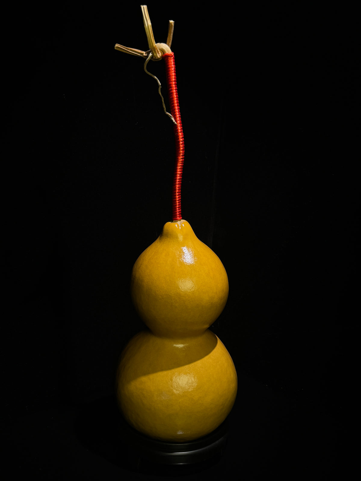 H012 natural gourd, detail view