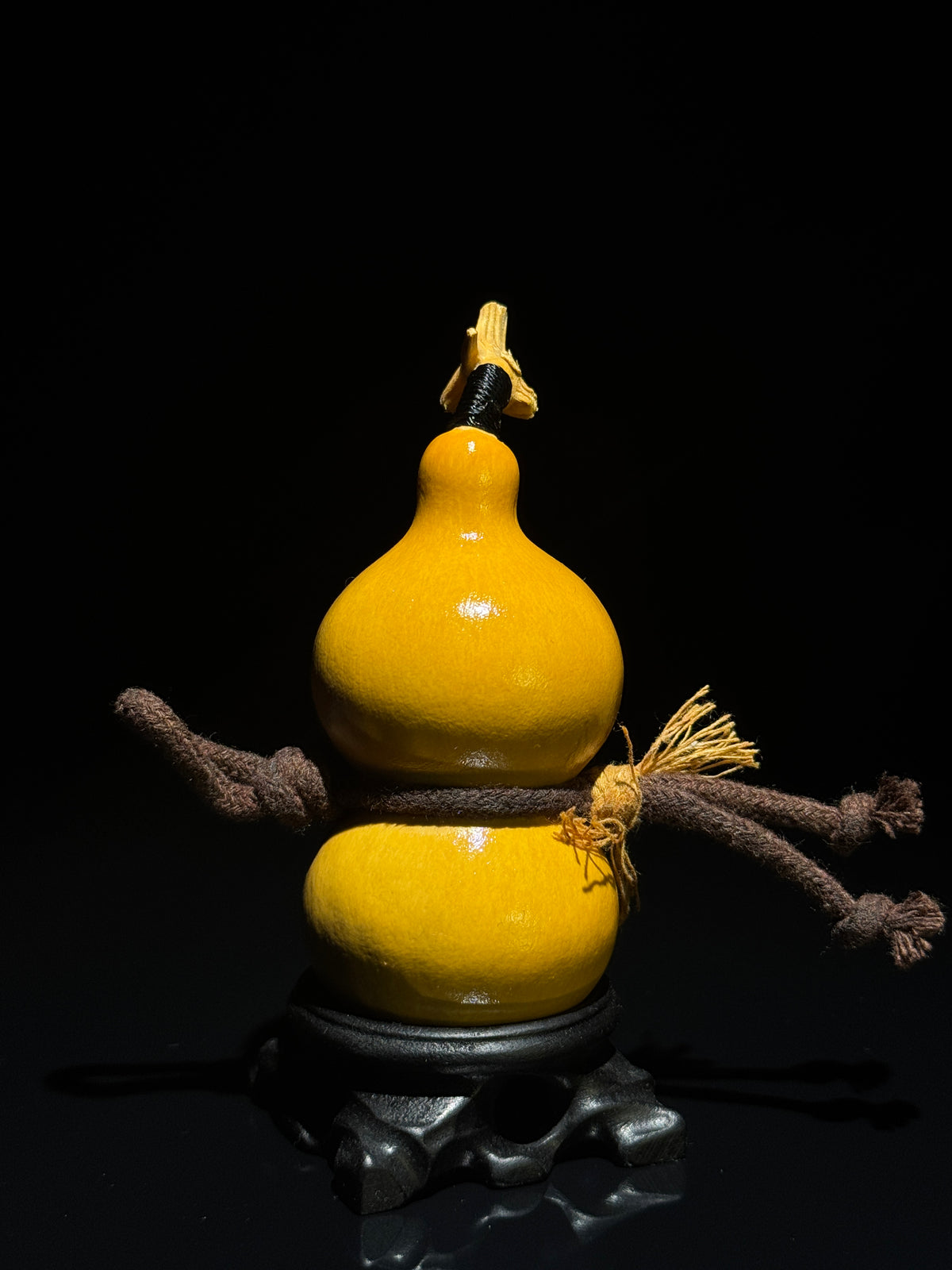 H015 natural gourd, primary view