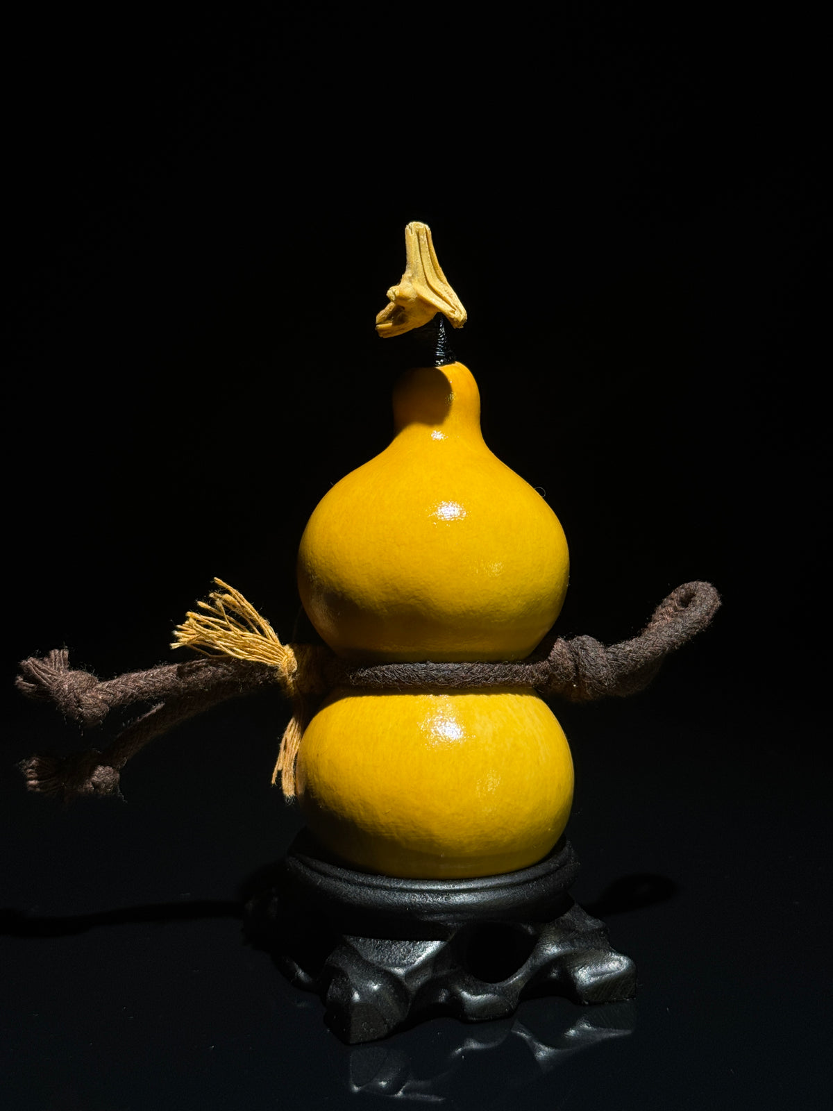 H015 natural gourd, alternate view