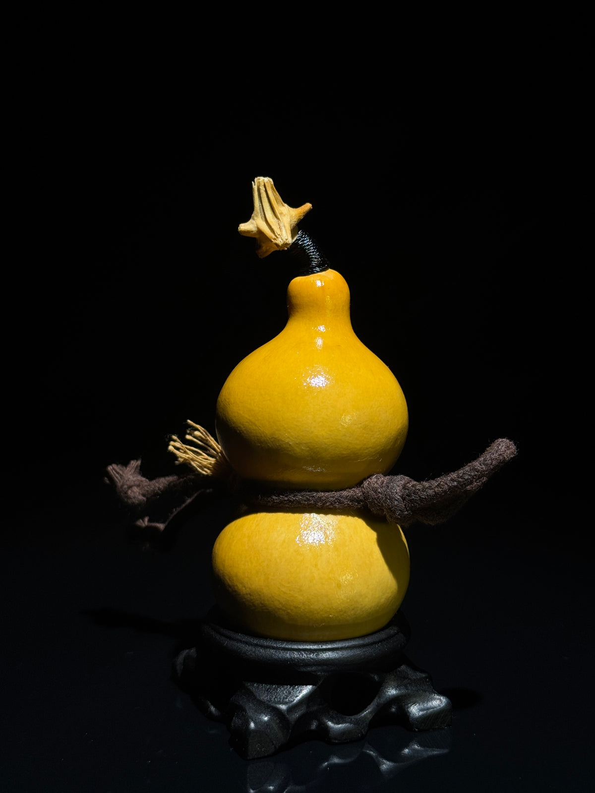 H015 natural gourd, detail view