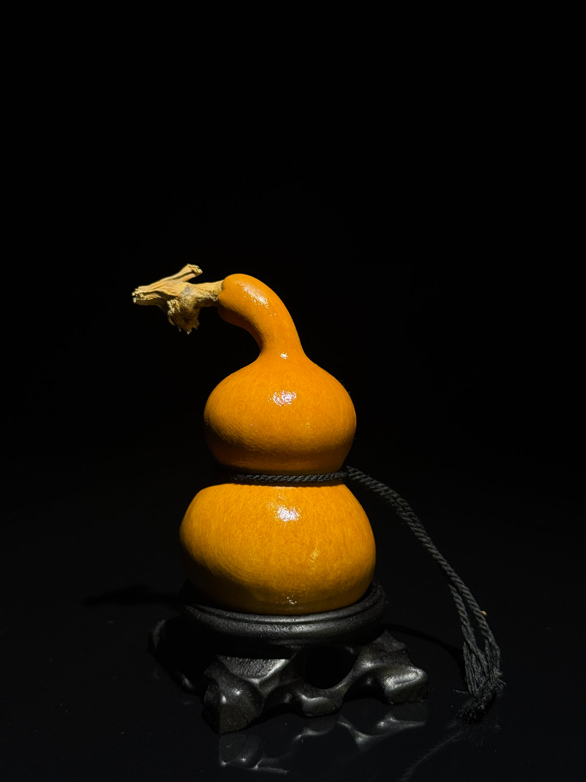 H017 natural gourd, primary view