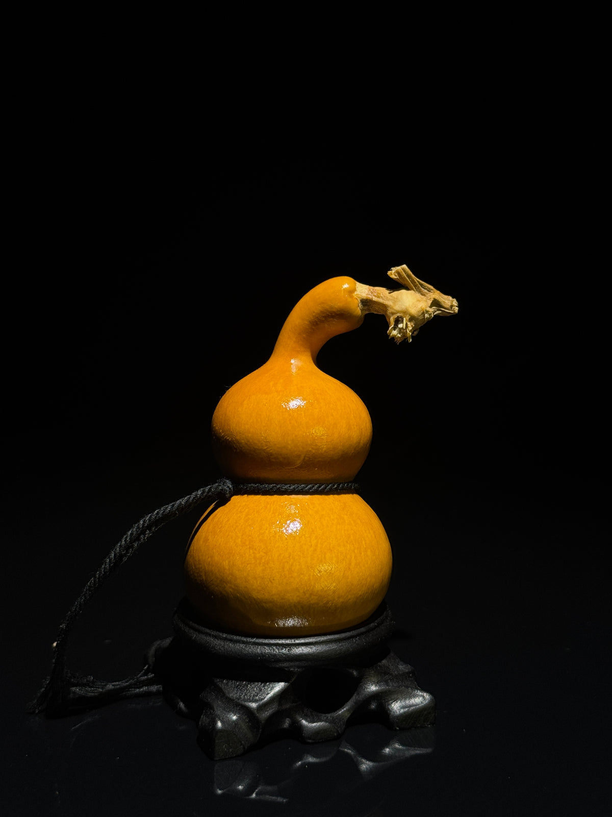 H017 natural gourd, alternate view