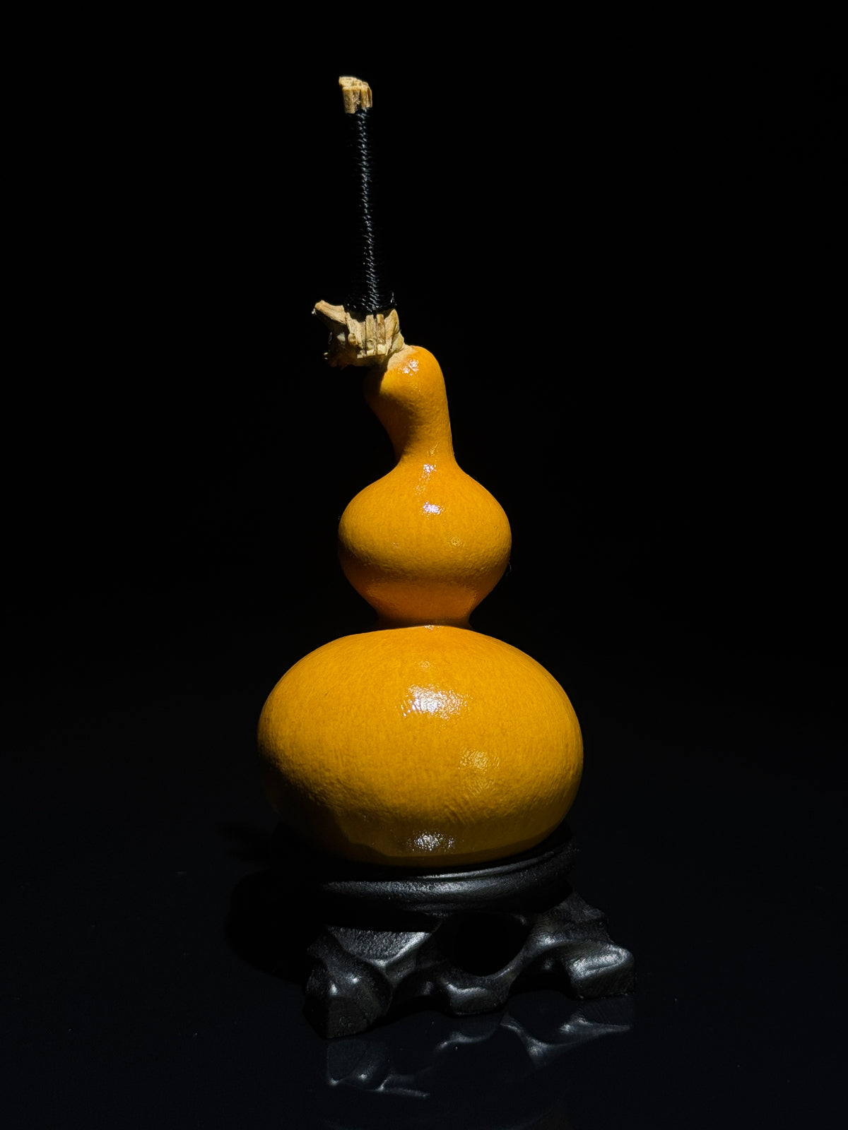 H018 natural gourd, alternate view