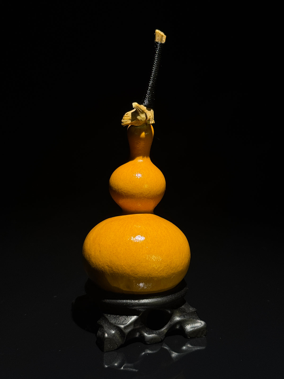 H018 natural gourd, detail view