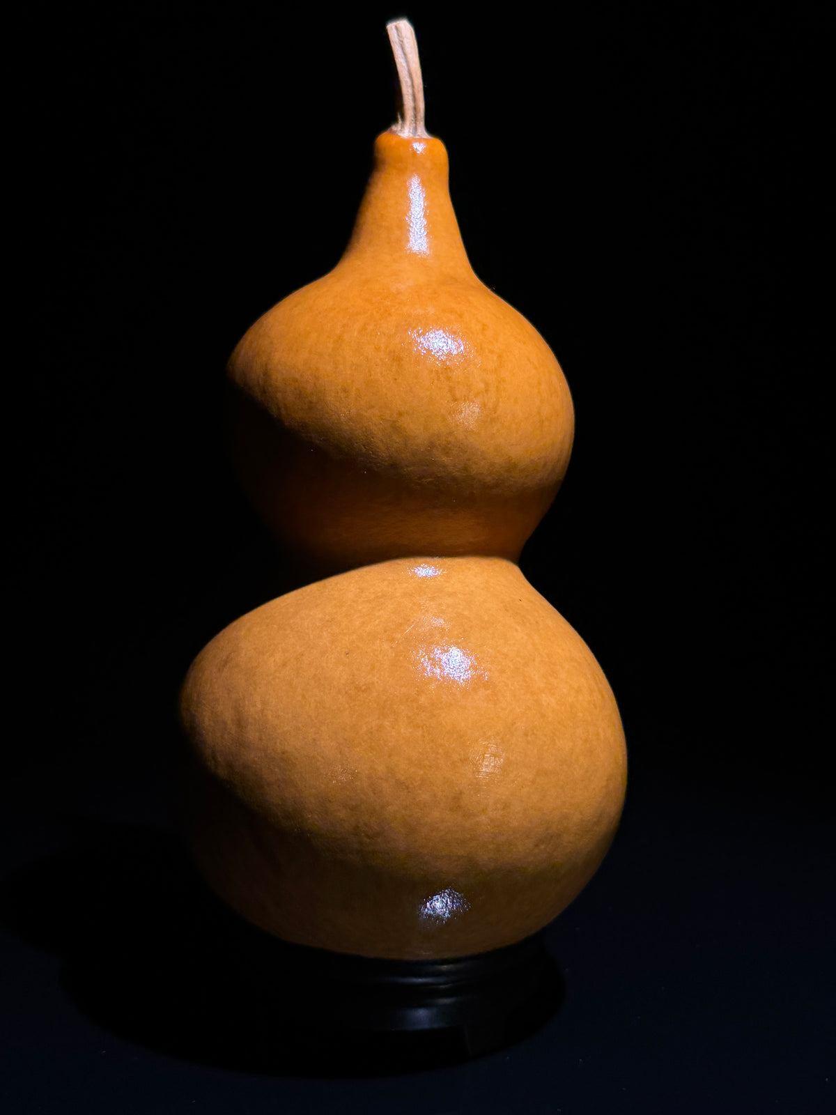 H019 double-bulb natural gourd, primary view
