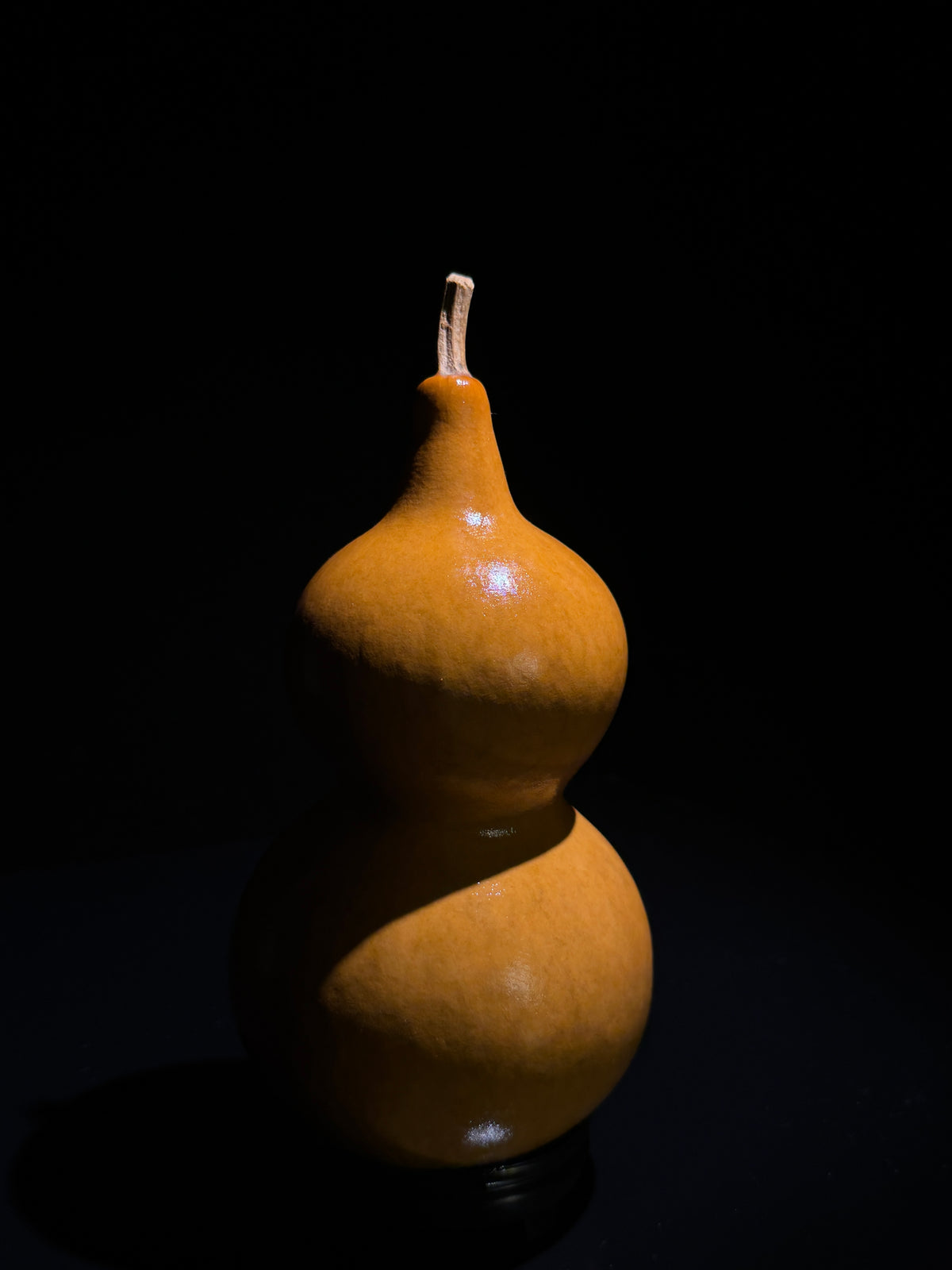 H019 double-bulb natural gourd, primary view