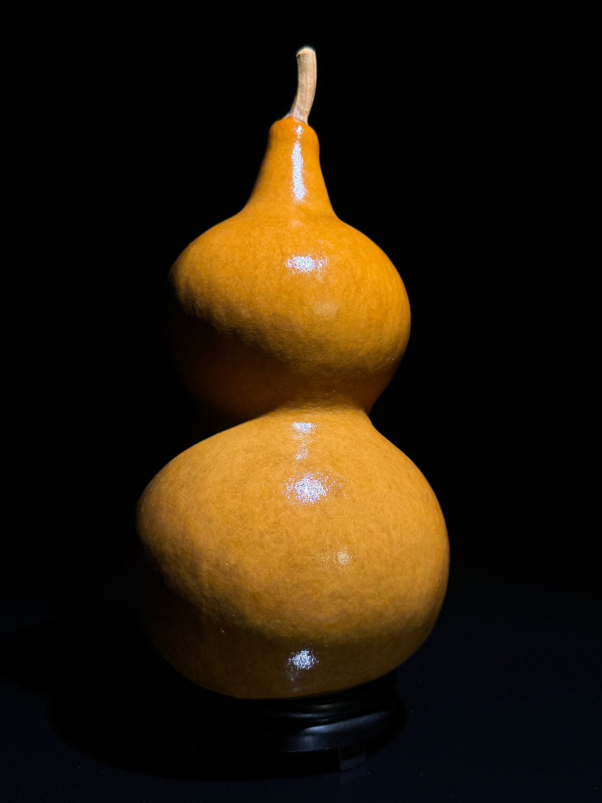 H019 double-bulb natural gourd, alternate view