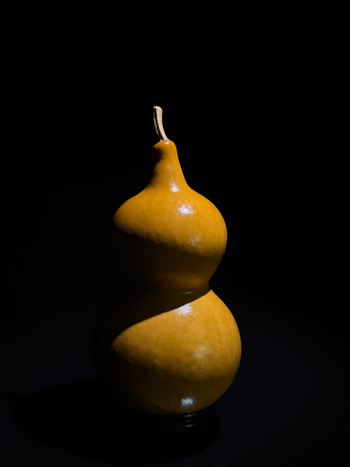 H019 double-bulb natural gourd, alternate view