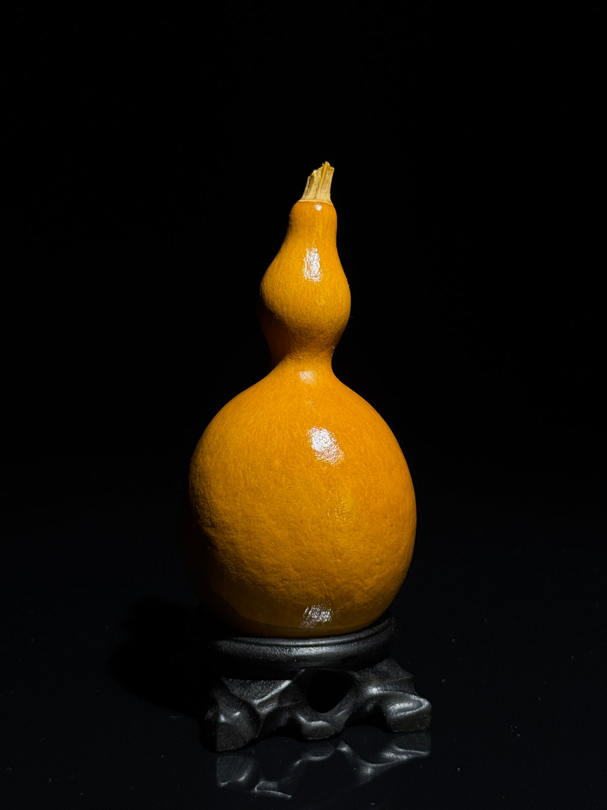 H021 vase-shaped natural gourd, primary view