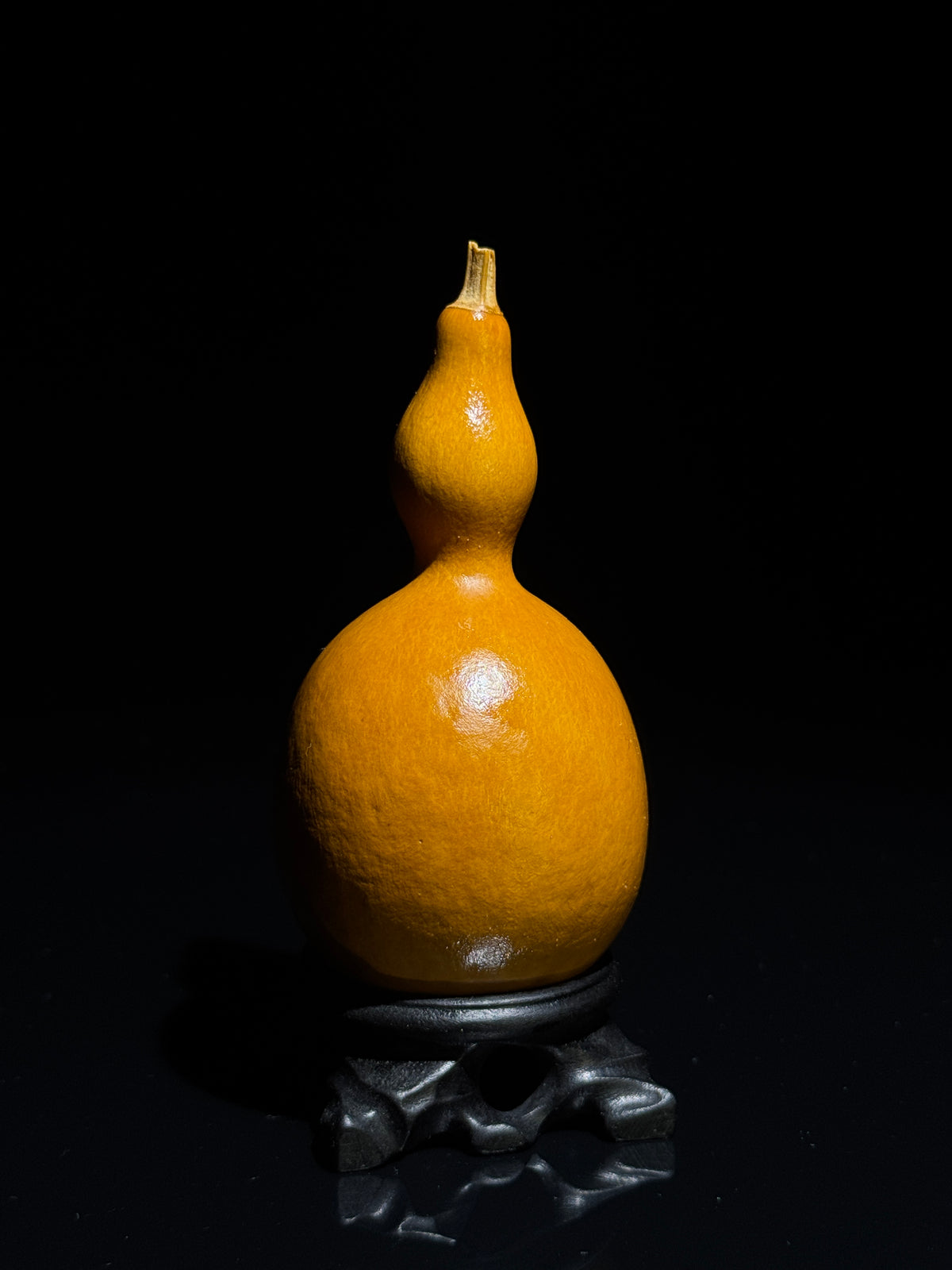 H021 vase-shaped natural gourd, alternate view