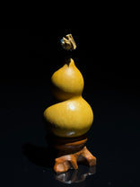 S001 natural gourd, detail view