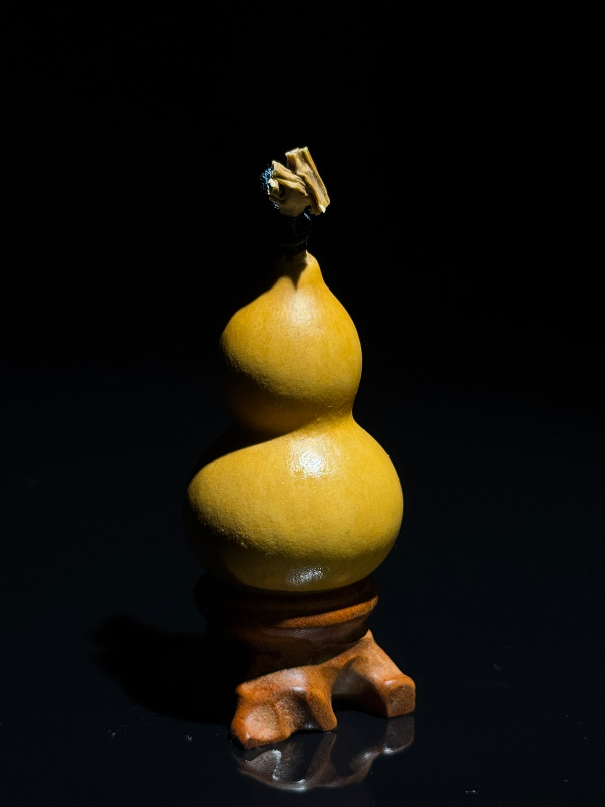 S001 natural gourd, detail view