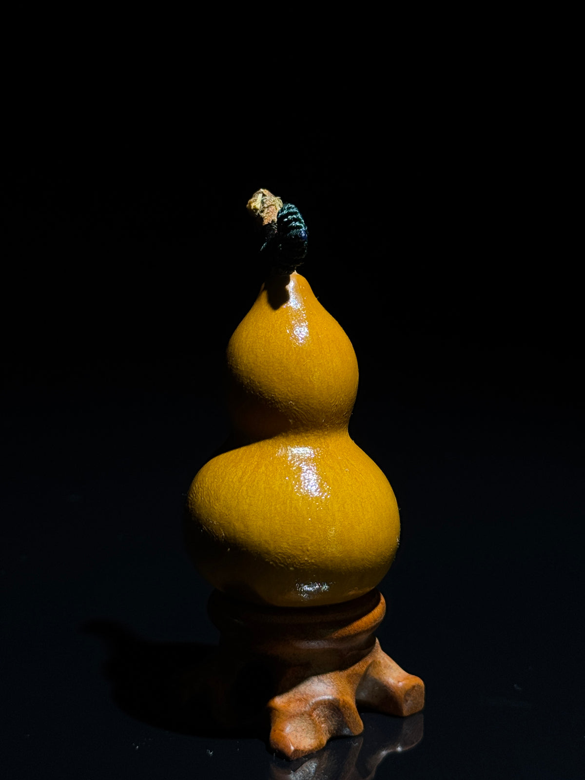S002 natural gourd, detail view