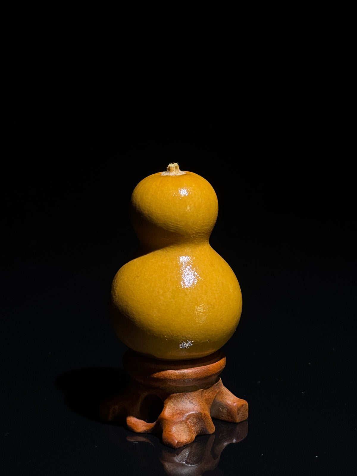 S005 pear-shaped natural gourd, primary view