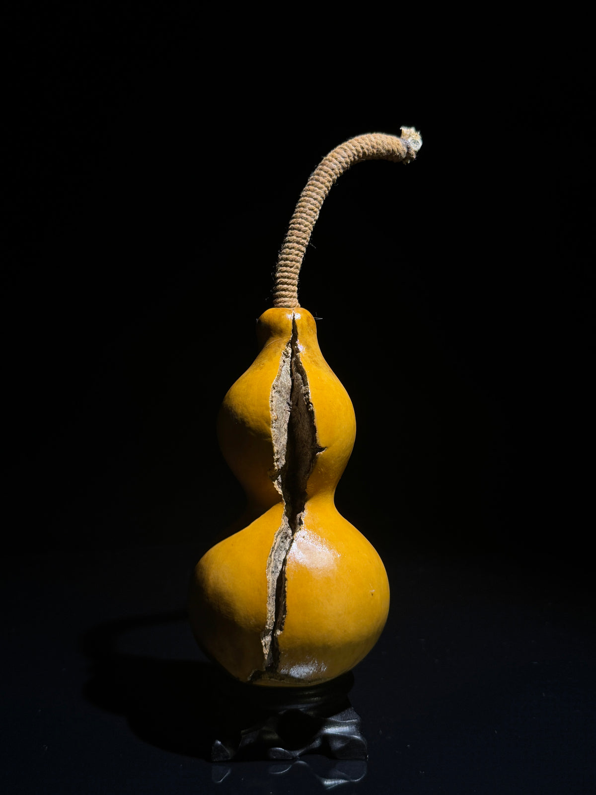 T003 natural-split crafted gourd, primary view