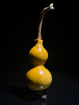 T003 natural-split crafted gourd, detail view